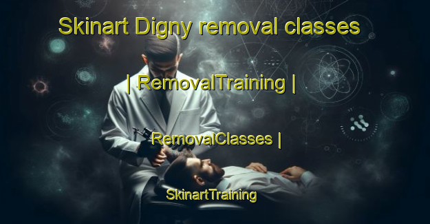 Skinart Digny removal classes | RemovalTraining | RemovalClasses | SkinartTraining-France